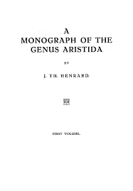 Image result for Aristida scabrivalvis