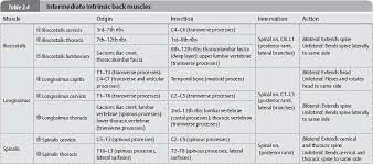 Involves some degree of stretching or microscopic tearing of muscle fibers 3. Muscles Atlas Of Anatomy