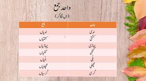 Exercise no.7 of urdu worksheets for grade 1. Wahid Jama In Urdu Shefalitayal