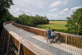 The fietsen door het water, bike through the water, is a very nice activity near hasselt. Xlu4d Fzatwdvm