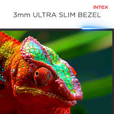 Crocodiles are large reptiles that habitat the tropics of the americas, australia, africa and asia. Intex Posts Facebook