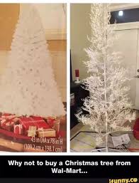 Buying Christmas Trees Expectations Vs Reality Expectation Vs Reality Buy Christmas Tree Funny Memes
