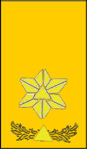 Forsvarets støtte i kriser utvides. Datei Sivilforsvaret Distinksjon Distriktssjef Png Wikipedia