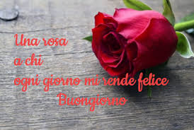 Rosa Bocciolo Di Rosa Rosa Rossa Buongiorno Immagini Buongiorno Rosa Rossa