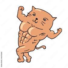 muscle cat draw Stock Vector | Adobe Stock