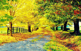 country road wallpapers wallpaper cave