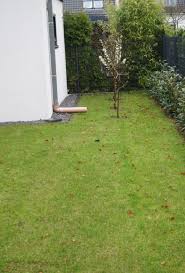 Im garten wachsen viele apfelbäume. Versickerung Niederschlagswasser Landeshauptstadt Dusseldorf
