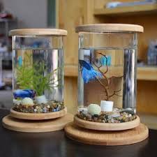 Professional service in jakarta, indonesia. 10 Contoh Desain Aquarium Mini Terbaik Estetis Dan Hemat Tempat Rumah123 Com