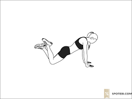 These normally include cardiorespiratory fitness, muscular strength and endurance promoting physical activity. At Home Fitness Test