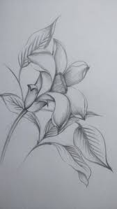 Pin On Drawings