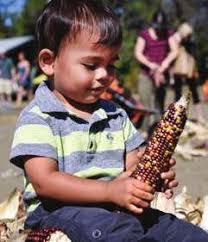 Laurie Manuel's Instagram, Twitter & Facebook