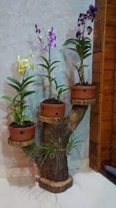 27 Ideias Para Fazer De Seus Vasos Algo Magico Voce Vai Adorar Hier Vorher Jardineria En Macetas Ideas De Jardineria Decoracion Plantas