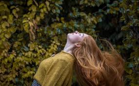 Maybe you would like to learn more about one of these? 45 Redhead Quotes To Celebrate Ginger Hair By Kidadl