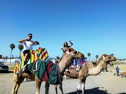 While you will, without a doubt, be uncomfortable at first, riding a some people actually mount by leapfrogging from behind the camel. Camel Rides In Rosarito Baja California Mexico 15 Min Ride Rosarito Ocean Sports Water Sports Camels Horses And Ponies Rides