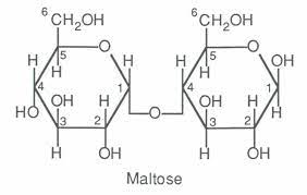 We did not find results for: Monomers And Polymers Biology Socratic