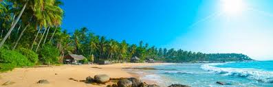 Mit den günstigen sri lanka urlaubsangeboten von ferienhelden und entdecken sie dieses faszinierende land! Sri Lanka Urlaub Gunstige Sri Lanka Reisen Bei Fti