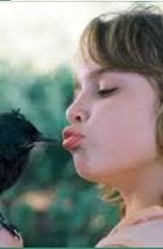 Me lo dijo un cuervo