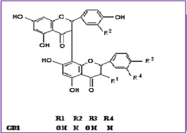 Image result for Garcinia volkensii