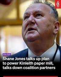 The Regional Development Minister is talking up a plan to burn woodchips  and sawdust to power a paper mill