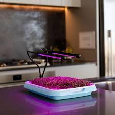 The red and blue light will promote photosynthesis, accelerate sprouting, bloom, fruiting. Easy To Use Led Grow Light For Indoor Plants Urban Plant Growers Uk