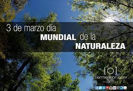 Como mencionamos en el curso anterior, la luz natural o luz de día, tiene muchas ventajas. 3 De Marzo Dia Mundial De La Naturaleza Foto Www Hermesleon Com World Lockscreen Lockscreen Screenshot