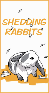 Rabbit Shedding Patterns And How To Deal With All The Fur Rabbit Shed Pet Bunny Rabbits Pet Bunny