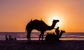 Selleks, et paremini vaadata asukohta ships of the desert asuvatele tänavatel: Top 5 Things To Do In Broome Lost Found