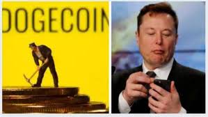 The indian crypto industry has found solid growth. Dogecoin Soars 15 Captures 5th Position Elon Musk Factor Polka Dot Shiba Inu Gain Big Too Check How Bitcoin Ethereum And Other Top Coins Performed Today Zee Business
