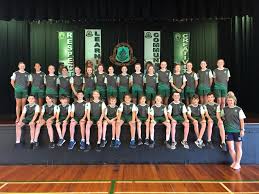 Ferny Grove Shs Sport Home Facebook