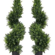 We offer real topiary plants to sustain and grow in all zones around the united states. Artificial Spiral Trees Uk Fake Outdoor Spiral Trees For Sale