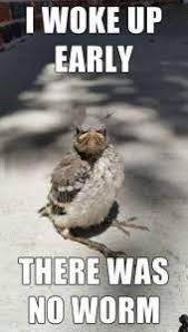 Funny Good Morning Memes Thrifty Nifty Mommy