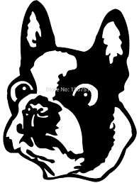 They are found in the earliest official akc (american kennel club) breed standard. Boston Terrier Bug Pug Dog Car Window Sticker Vinyl Decal Vinyl Decal Sticker Vinylcar Window Sticker Aliexpress