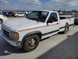 Image result for Bright White 1991 Dakota