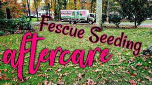 Pin On Lawn Care By Pplm