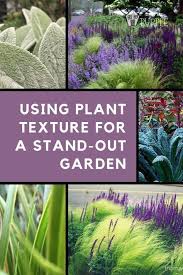 Plant Texture For A Garden You Hafta Touch Plant Texture Garden Types Landscape Design