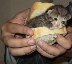 Pin On Imagenes Random