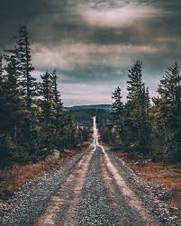 New Post On Folklifestyle Nature Photography Photo Pictures