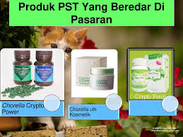 Pacific standard time (north america) pst. Produksi Protein Sel Tunggal Pst Ppt Download