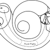 The membranous labyrinth runs inside of the bony labyrinth, and creates three parallel fluid filled spaces. Https Encrypted Tbn0 Gstatic Com Images Q Tbn And9gcrzgt7rjl Q3y6lrlvwsijm2macagyv3v46xzxeihiceh Pubyw Usqp Cau