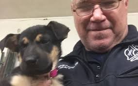 Bruce D Yealy Auctioneering