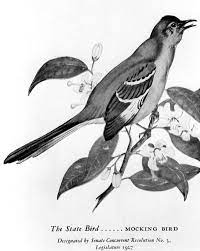 Maybe you would like to learn more about one of these? Florida Memory Drawing Of Florida S State Bird And Flower