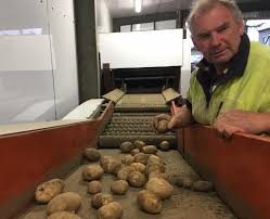 The tongan archipelago has been inhabited for perhaps 3000 years, since settlement in late lapita times. Potatoes Boost Effort For Tonga Otago Daily Times Online News