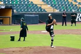 Maybe you would like to learn more about one of these? Pericos De Puebla A Levantar El Vuelo Ante Toros De Tijuana