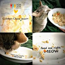 Nom nom is healthy, fresh food for cats and dogs formulated by vets. Cat And Dog Chat With Caren Nomnomnow Cat And Dog Food Fresh Recipes Made With Care Delivered Fresh To Your Door