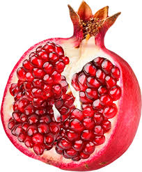 Image result for pomegranate