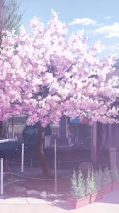 Image of download free anime cherry blossom background pixelstalk net. Pink Sakura Tree Anime Aesthetic Wallpapers Wallpaper Cave