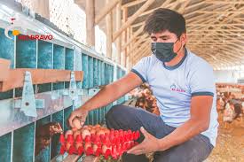 Agropecuaria Río Bravo