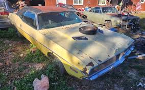 Image result for Top Banana 1973 Challenger