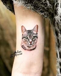 Michelle Colom Adli Kullanicinin Renkli Fikirler Panosundaki Pin 2020 Hayvan Dovmeleri Kedi Dovmeleri Tattoo