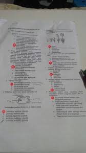 Soal Biologi Kelas Xii Semester 1 Dan Kunci Jawaban Guru Galeri